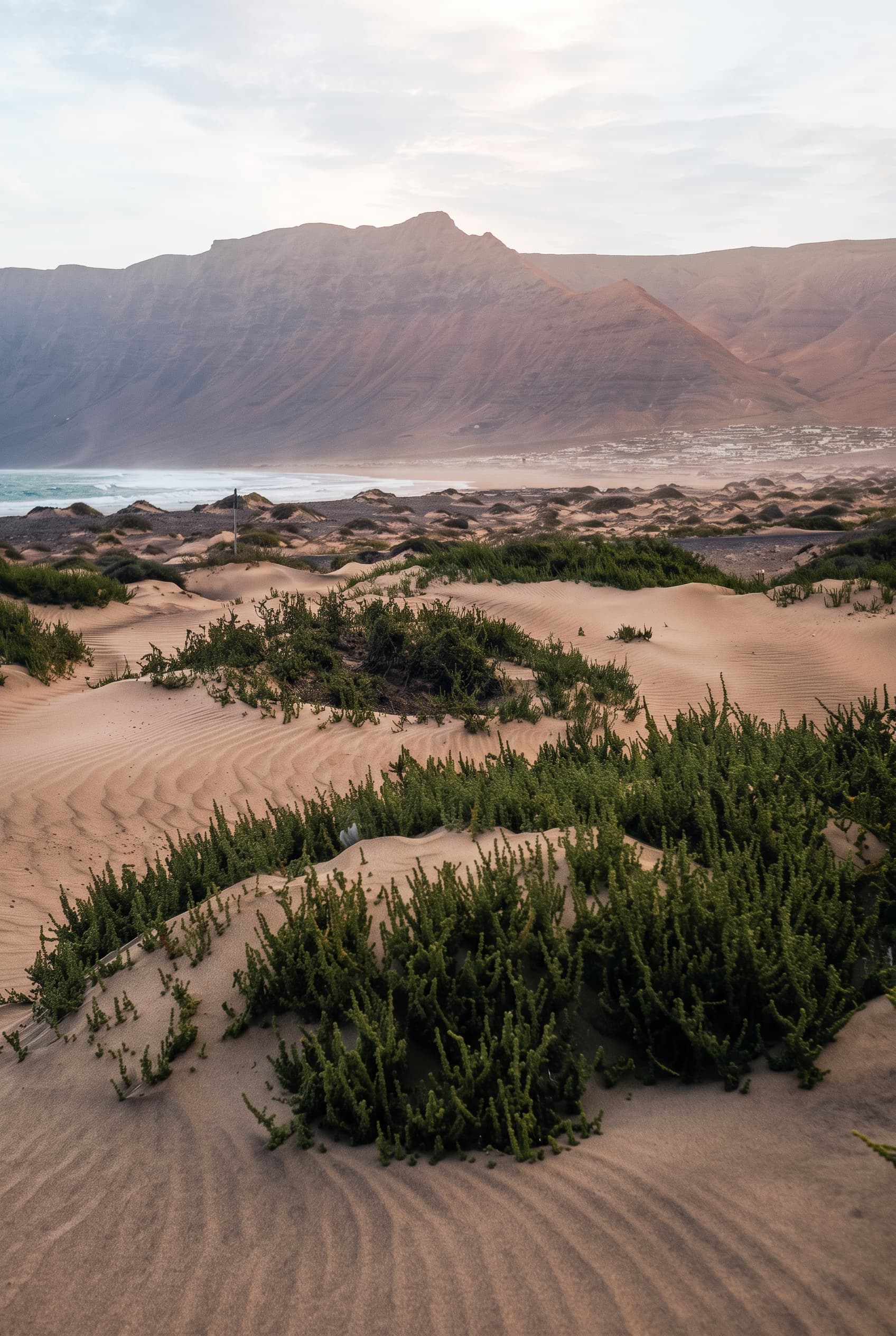 Wind-shaped dunes and low grasses beneath the Famara cliff.